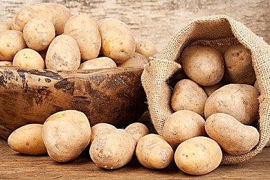 Xbox菲尔·斯宾塞表示 希望能延续《杀手本能》系列